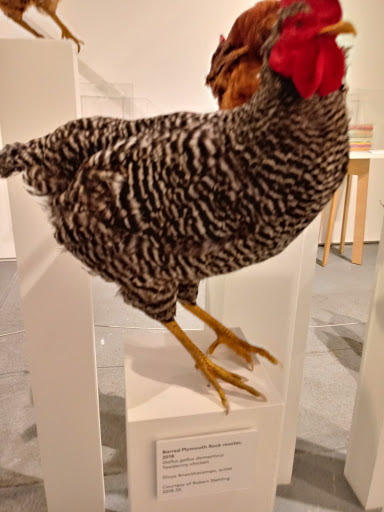 Museum «Museum of Food and Drink (MOFAD) Lab», reviews and photos, 62 Bayard St, Brooklyn, NY 11222, USA