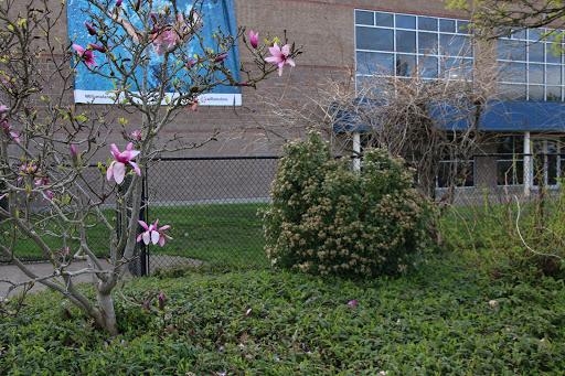 Park «Willamalane Park», reviews and photos, 1276 G St, Springfield, OR 97477, USA