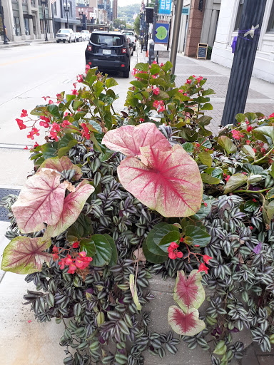 General Store «Mast General Store Knoxville», reviews and photos, 402 S Gay St, Knoxville, TN 37902, USA