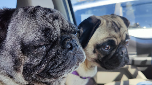 Shopping Mall «The Eureka Mall», reviews and photos, 800 W Harris St, Eureka, CA 95501, USA