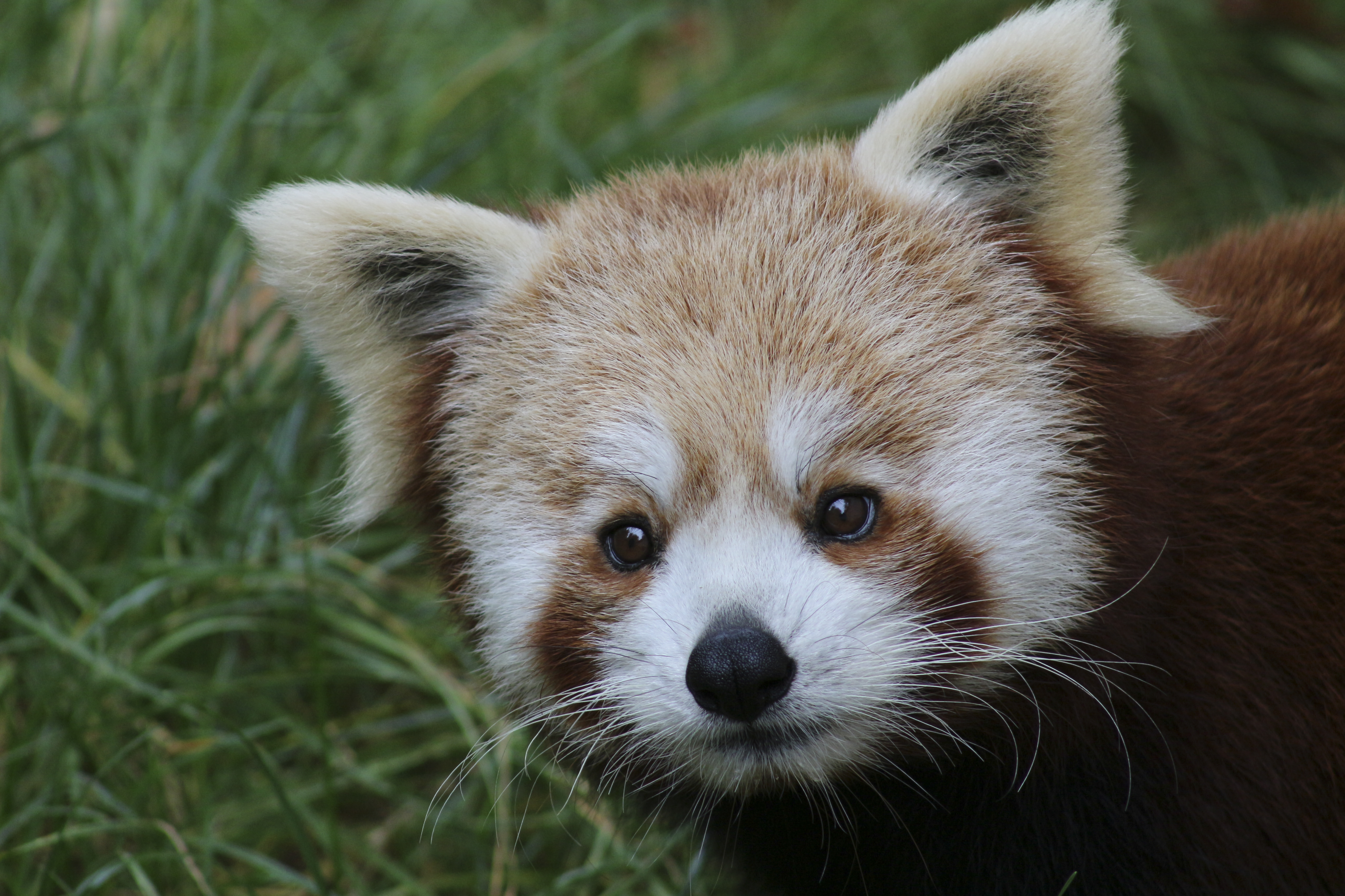 Photo n° 17 de l'avis de Laurent. fait le 05/08/2022 à 12:06