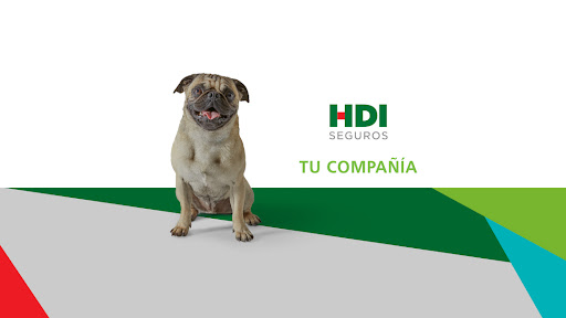 HDI Seguros Puebla