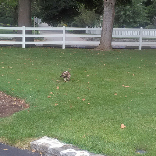 Golf Club «Wyoming Golf Club», reviews and photos, 81 Mt Pleasant Ave, Cincinnati, OH 45215, USA