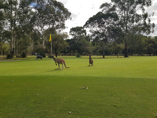 Melville Glades Golf Club