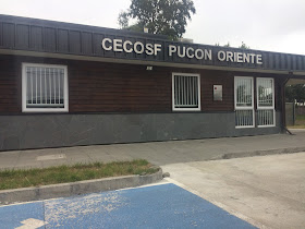 CECOSF PUCON ORIENTE