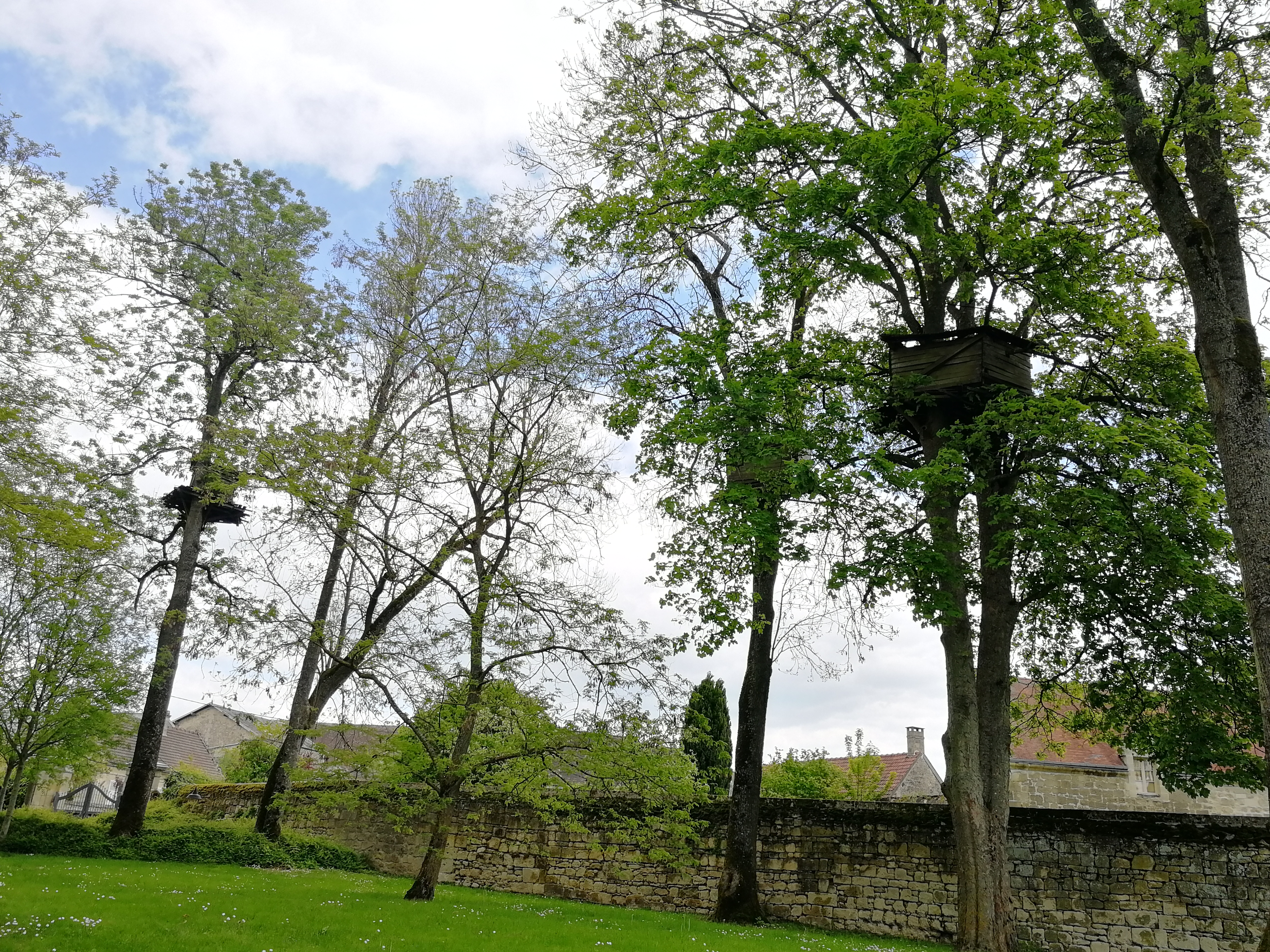 Photo n° 4 de l'avis de Yann.t fait le 12/05/2019 à 15:41