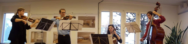 Sointu Music | Events- & Hochzeitsmusik | Duo Trio Quartett - Musikgeschäft