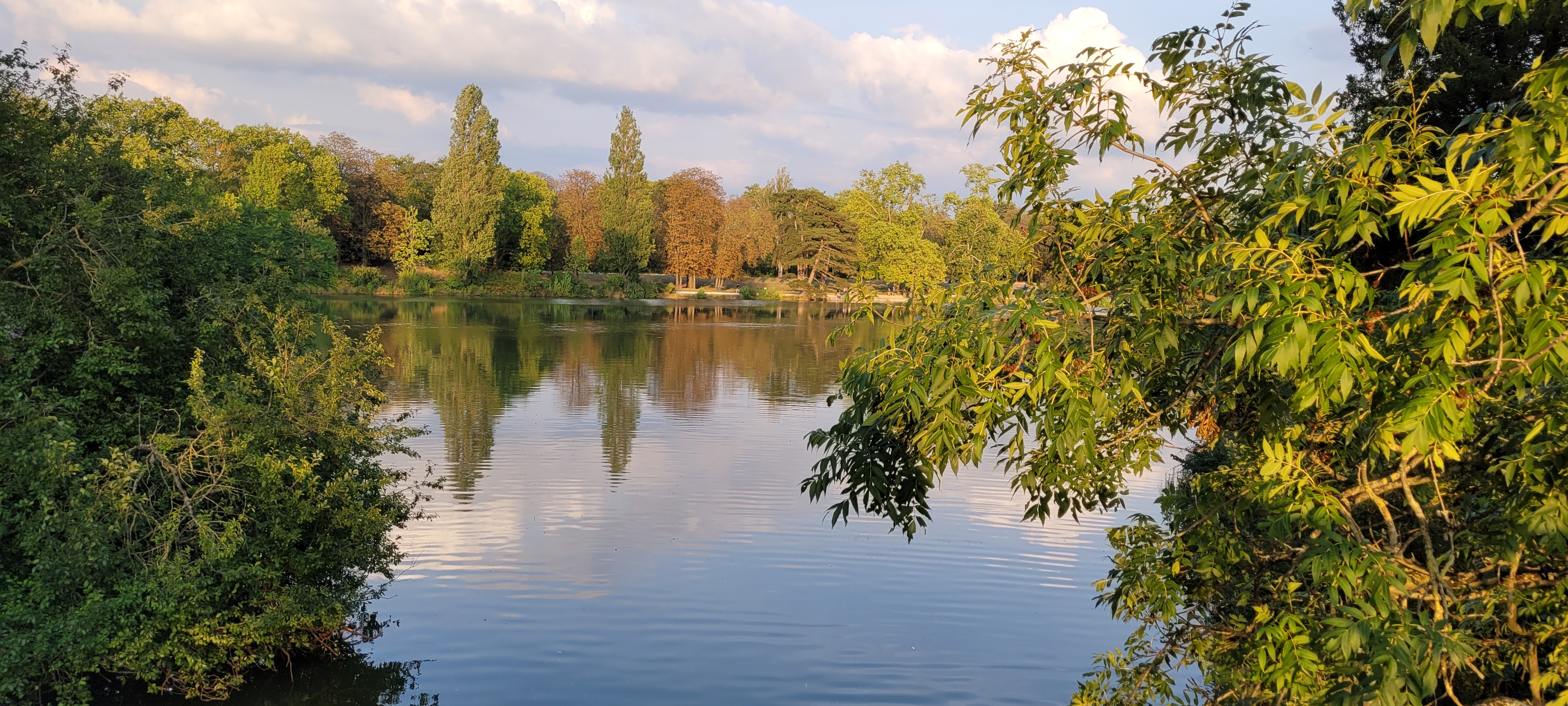 Photo n° 9 de l'avis de Siromiel.o fait le 21/08/2022 à 20:03