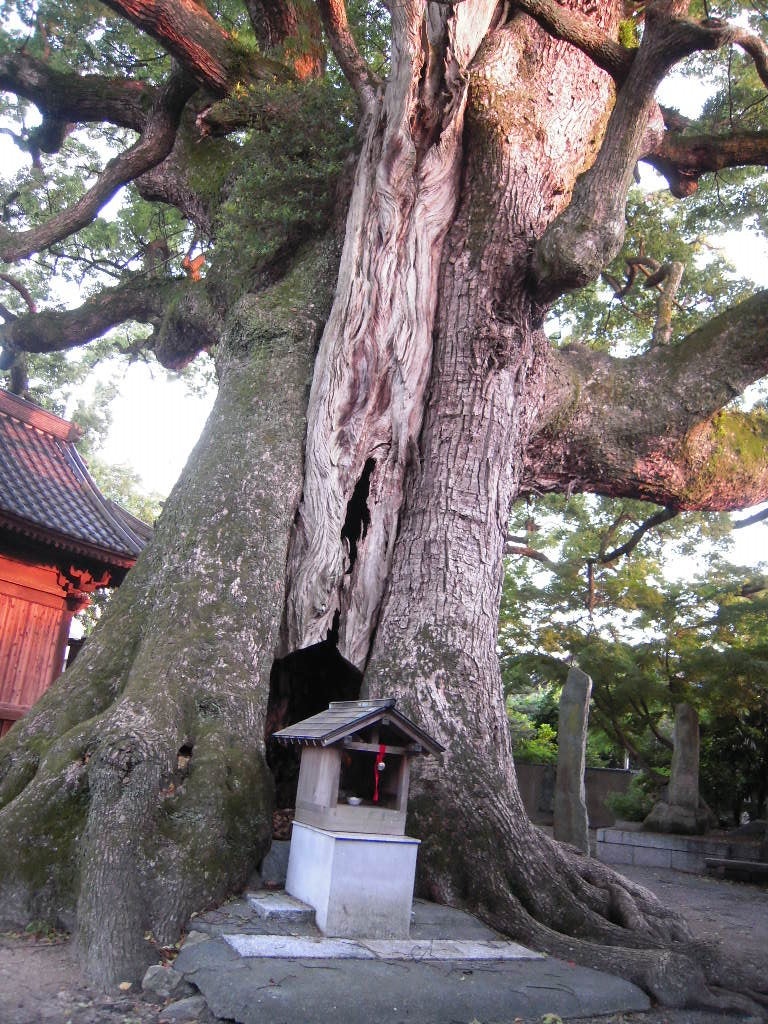 甘木山 安長寺［臨済宗東福寺派］