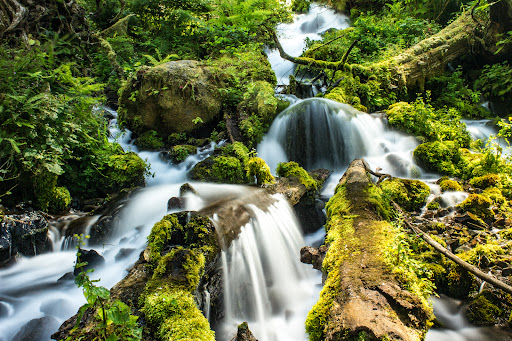 Tourist Attraction «Fairy Falls», reviews and photos, Wahkeena Trail #420, Corbett, OR 97019, USA