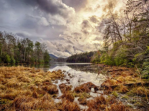 Park «Bays Mountain Park & Planetarium», reviews and photos, 853 Bays Mountain Rd, Kingsport, TN 37660, USA