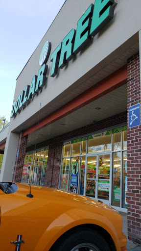 Dollar Store «Dollar Tree», reviews and photos, 12501 Grafton Rd, Carleton, MI 48117, USA