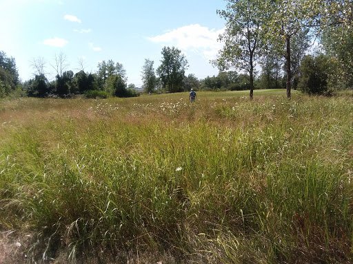 Golf Course «Diamond Hawk Golf Course», reviews and photos, 255 Sonwil Dr, Buffalo, NY 14225, USA