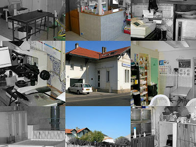 CLINIQUE VETERINAIRE BEAURIVAGE à Biarritz