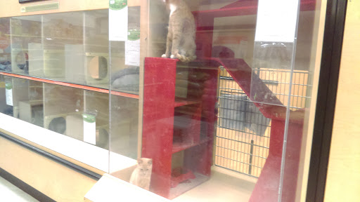 Pet Supply Store «PetSmart», reviews and photos, 5890 Trussville Crossings Pkwy, Birmingham, AL 35235, USA