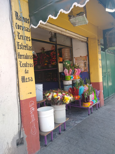 D’ Rose Flores – Tepotzotlán