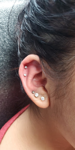 Find tattoo ideas with birds for your next unique tattoo in Aurora at Skin of A Different Color