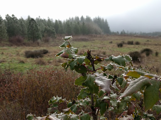 Park «Cooper Mountain Nature Park», reviews and photos, 18892 SW Kemmer Rd, Beaverton, OR 97007, USA