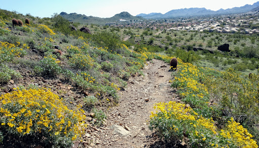 Park «Lookout Mountain Preserve», reviews and photos, 15800 N 16th St, Phoenix, AZ 85022, USA