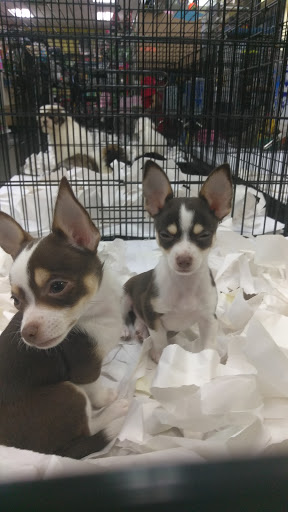 Pet Supply Store «Our Pet World», reviews and photos, 380 Semoran Commerce Pl, Apopka, FL 32703, USA