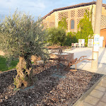 Photo n°9 de l'avis de Mar.o fait le 15/08/2022 à 18:07 sur le  Ristorante Corte San Carlo (Giropizza a Saliceto) à Cortemaggiore