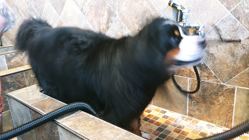 Pet Supply Store «Pet Valu», reviews and photos, 74 Pershing Dr, Derby, CT 06418, USA