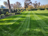 Perez Lawn Care Services - Photo 3 - Car repair in Bakersfield, CA, Bakersfield