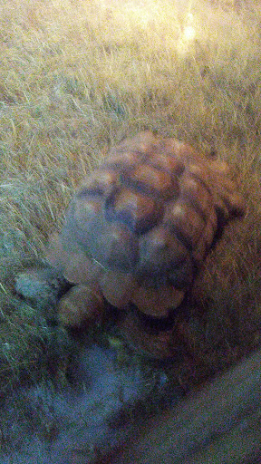 Pet Store «World Wide Pets», reviews and photos, 1307 Fayetteville Rd, Van Buren, AR 72956, USA