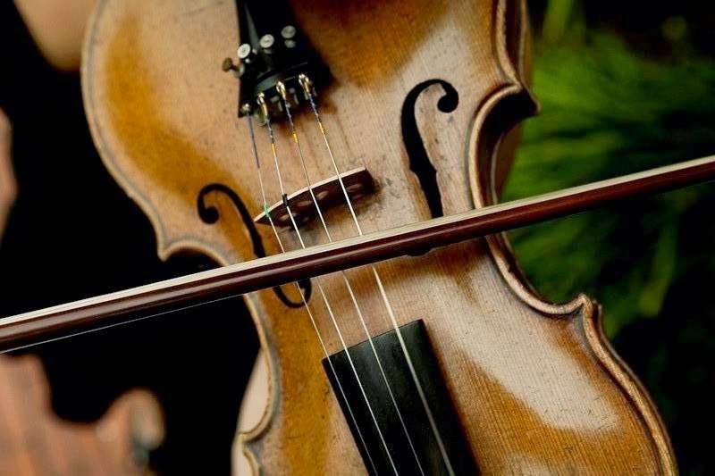 Violin and Viola Lessons Charleston SC