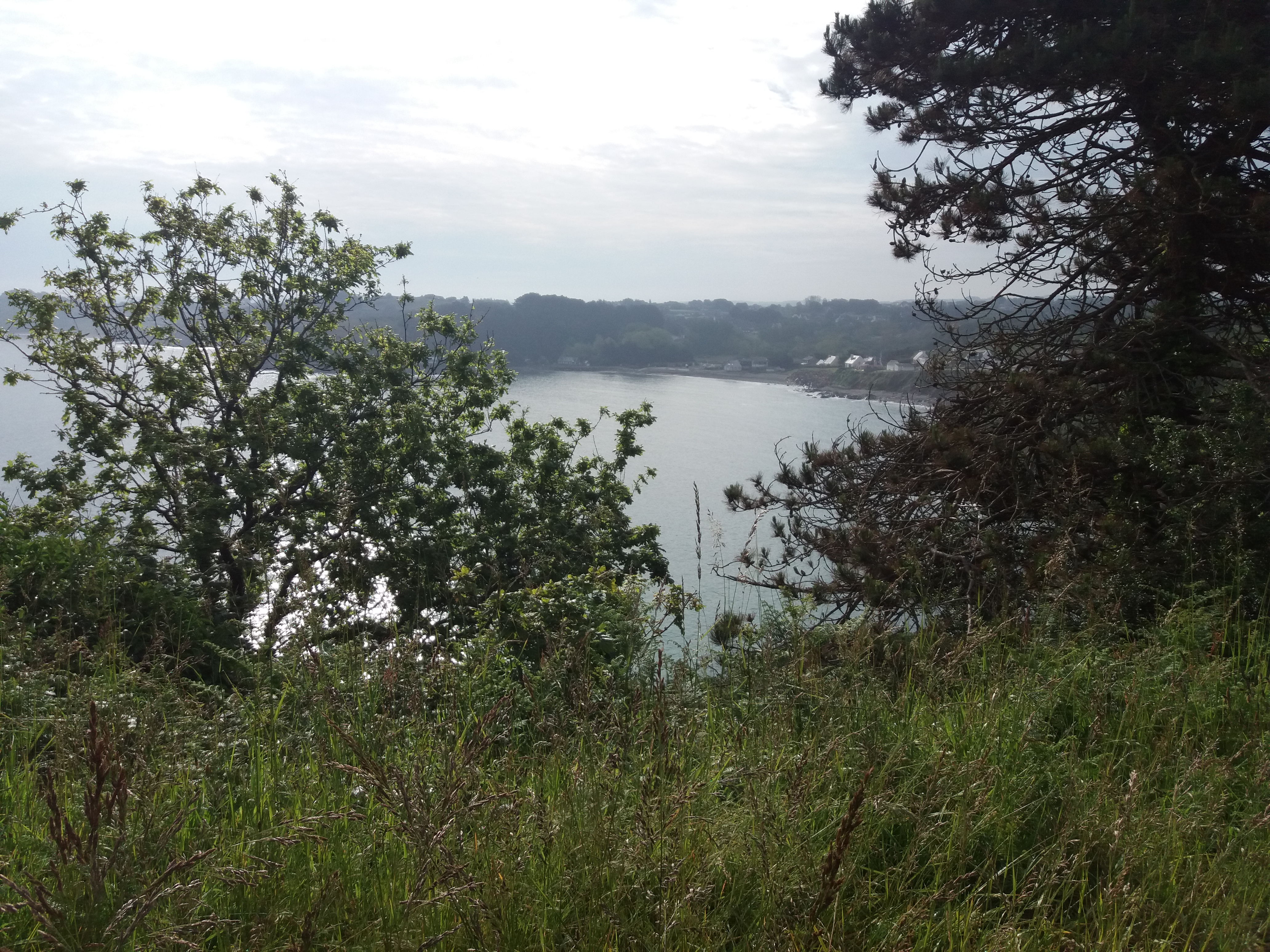 Photo n° 1 de l'avis de Claudy.o fait le 31/05/2021 à 15:54