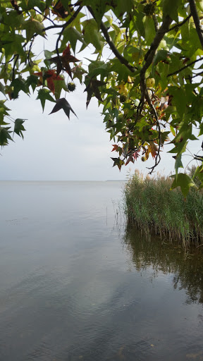 Park «Miami Beach Park», reviews and photos, 4001 Bay Dr, Middle River, MD 21220, USA