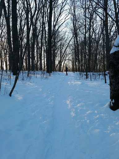 Public Golf Course «Hansen Park Golf Course», reviews and photos, 9800 Underwood Pkwy, Wauwatosa, WI 53226, USA