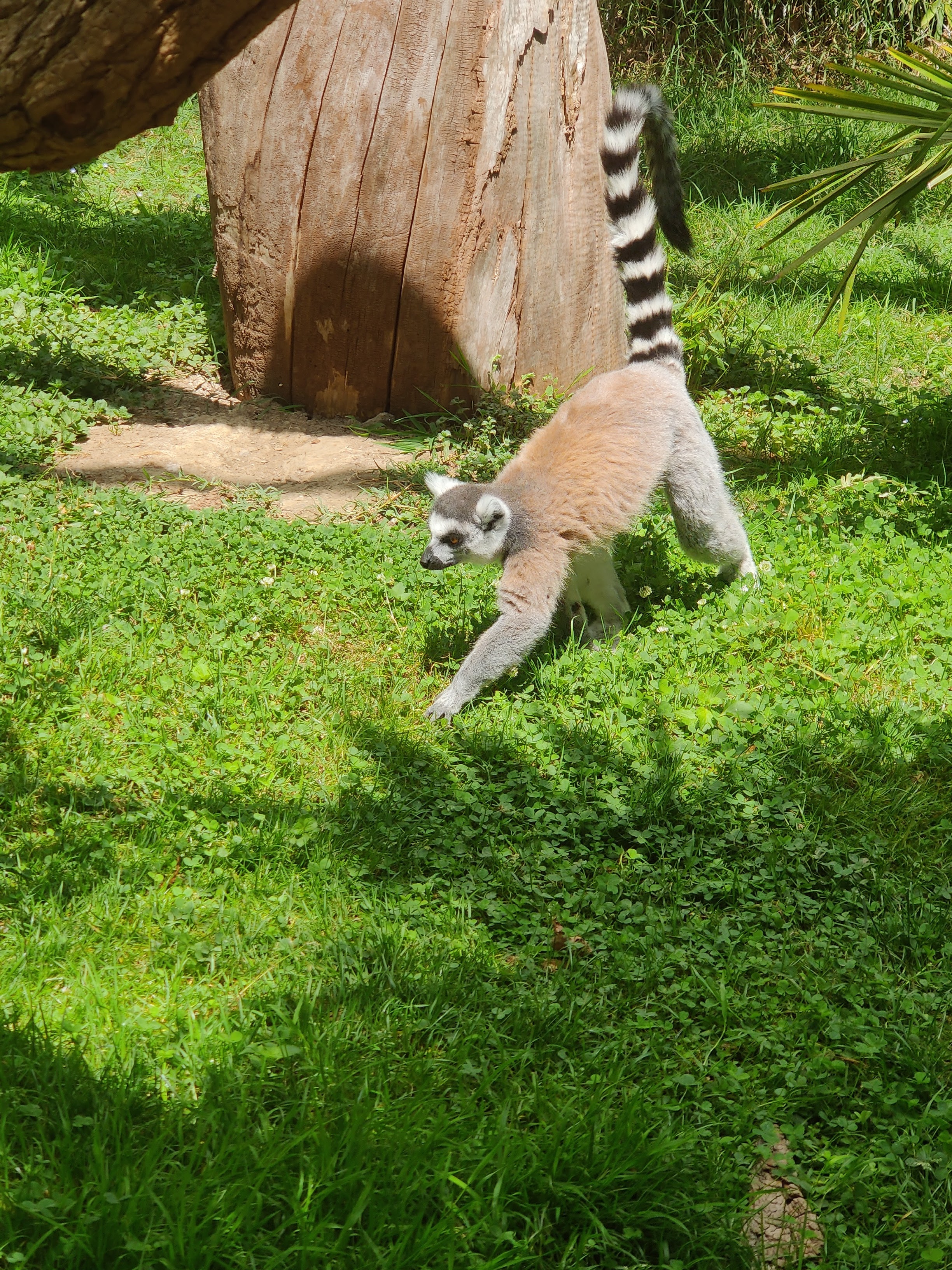 Photo n° 6 de l'avis de Emilie.a fait le 06/08/2023 à 13:12