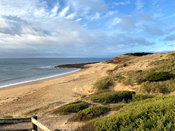 Photo de Flynns Beach situé dans une zone naturelle