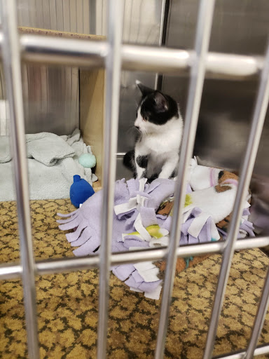 Pet Supply Store «PetSmart», reviews and photos, 17677 Haggerty Rd, Northville, MI 48168, USA