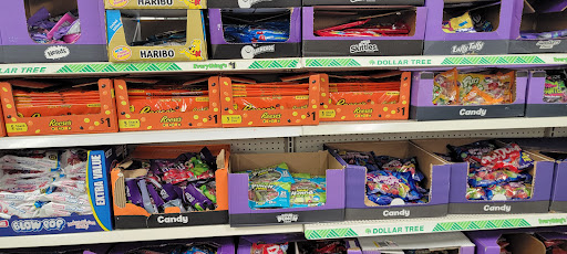 Dollar Store «Dollar Tree», reviews and photos, 8711 E Point Douglas Rd S Ste 112, Cottage Grove, MN 55016, USA