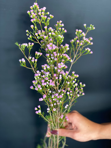 Florist «Orchids & Ivy Flowers & Gifts Columbus, OH», reviews and photos, 2814 Fishinger Rd, Upper Arlington, OH 43221, USA