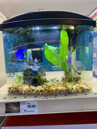 Pet Supply Store «Pet Supermarket», reviews and photos, 10291 Pines Blvd, Pembroke Pines, FL 33026, USA