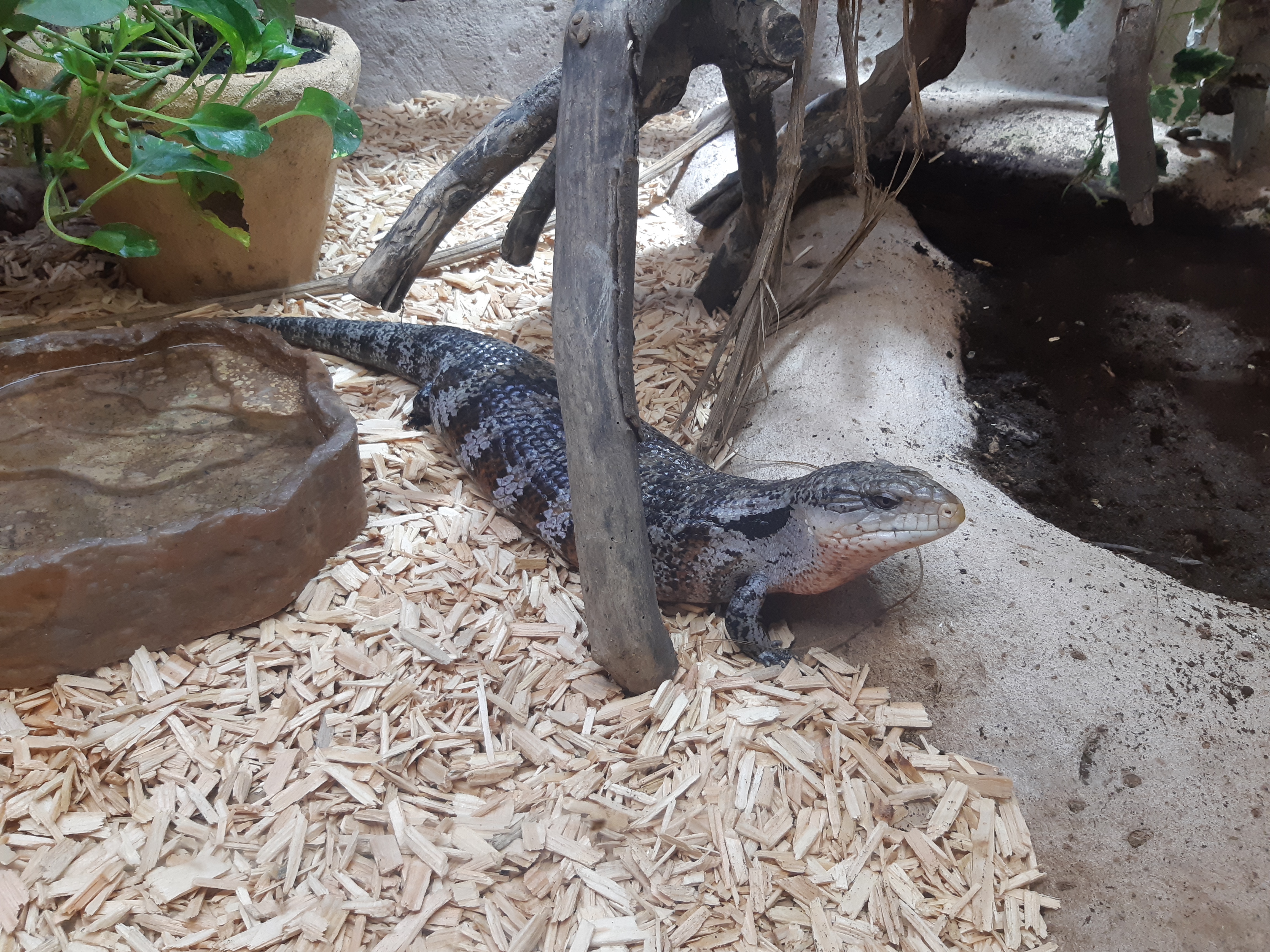 Photo n° 2 de l'avis de lisa-marie.e fait le 10/06/2019 à 20:06