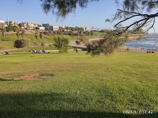 Midron Yaffo Park