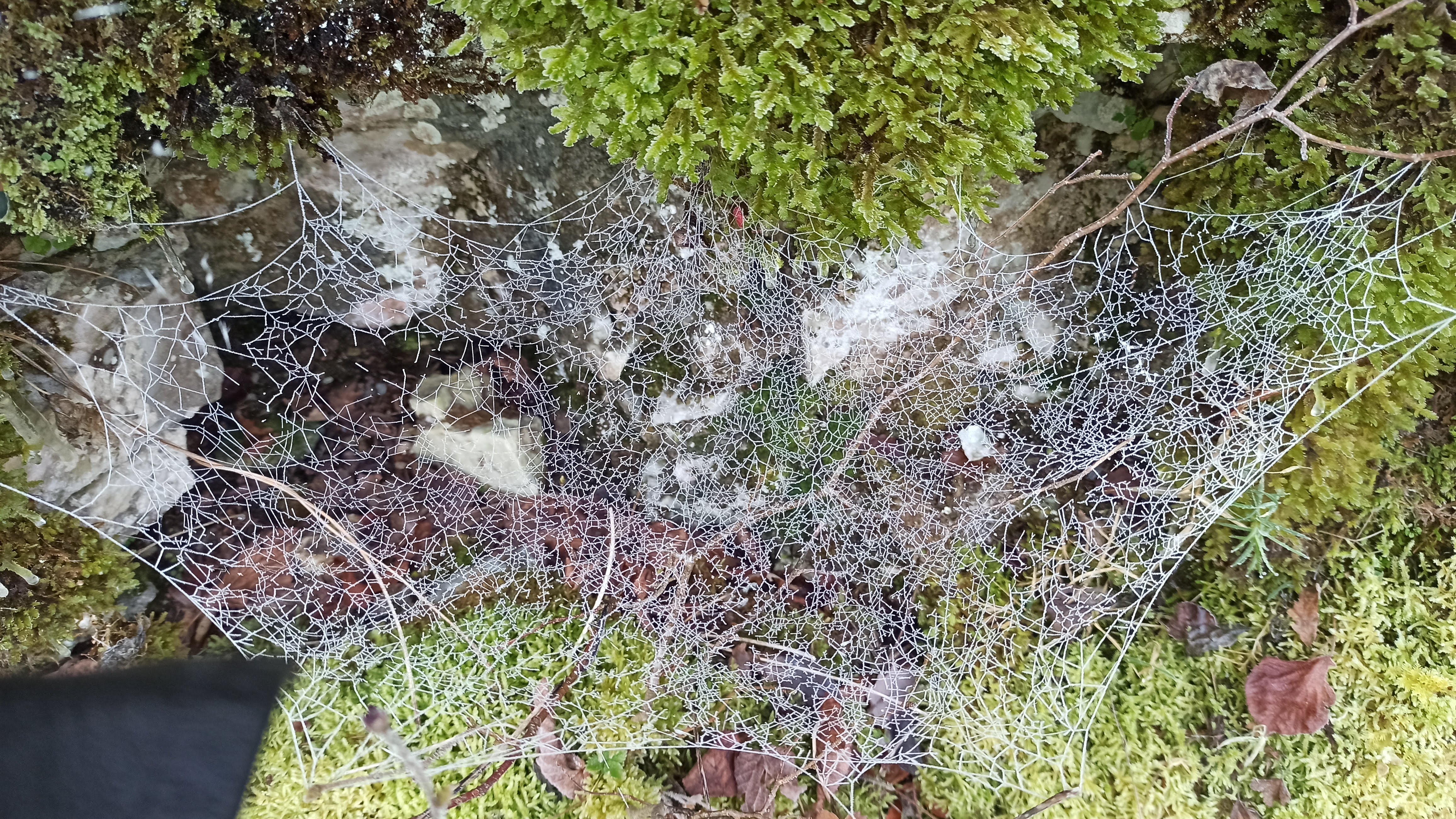Photo n° 11 de l'avis de Veltas. fait le 30/10/2019 à 11:55