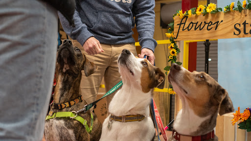 Pet Supply Store «Wags To Wiskers Pet Supplies», reviews and photos, 2423 W Stadium Blvd, Ann Arbor, MI 48103, USA