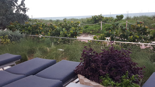 Spa Resort «Carillon Miami Wellness Resort», reviews and photos, 6801 Collins Ave, Miami Beach, FL 33141, USA