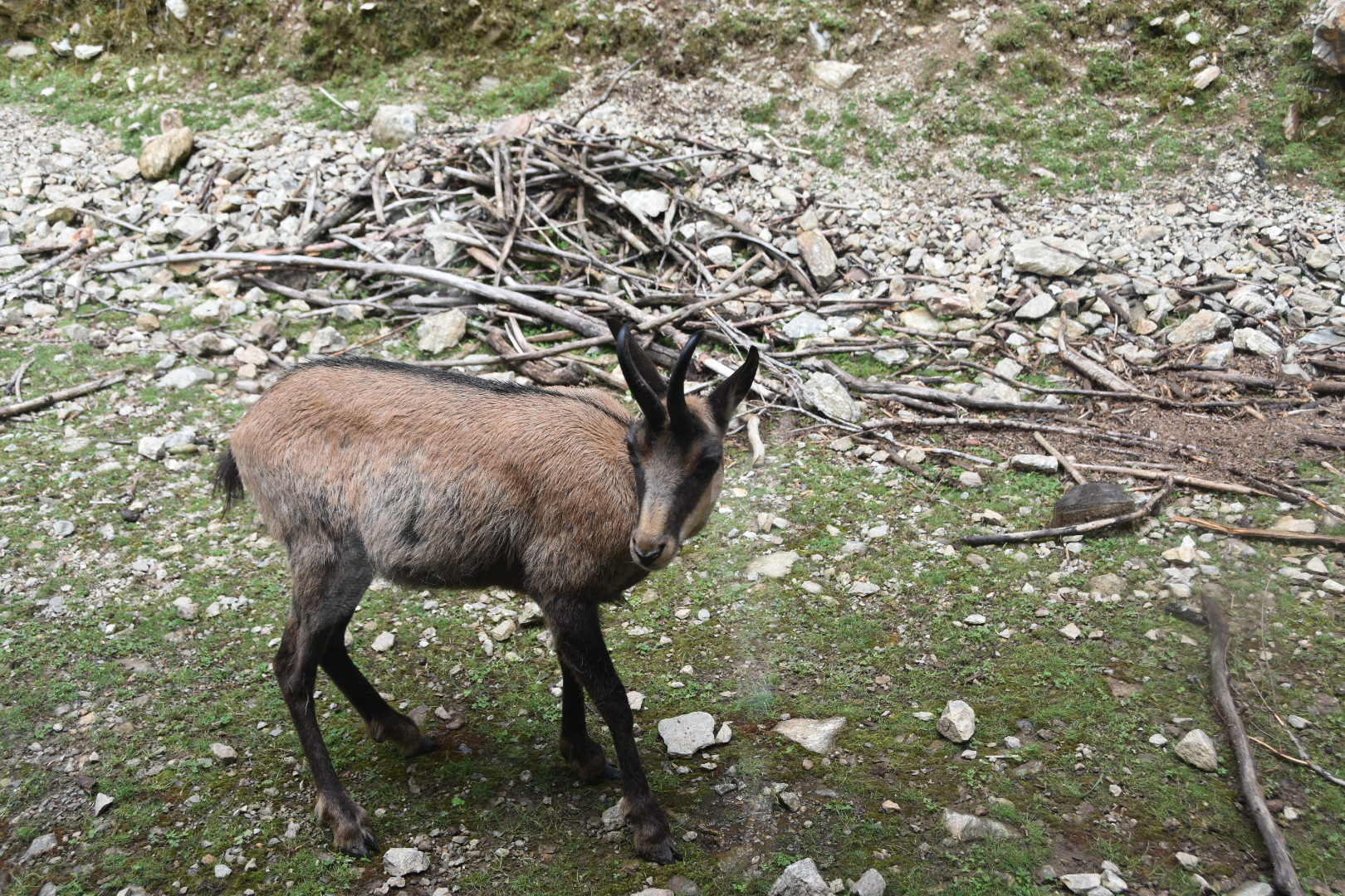 Photo n° 1 de l'avis de Hervé.i fait le 25/08/2020 à 12:08