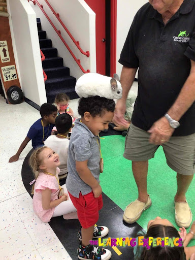 Day Care Center «The Learning Experience», reviews and photos, 181 Shunpike Rd, Cromwell, CT 06416, USA