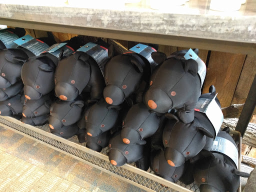 Outdoor Sports Store «Nantahala Outdoor Center Gatlinburg», reviews and photos, 1138 Parkway, Gatlinburg, TN 37738, USA