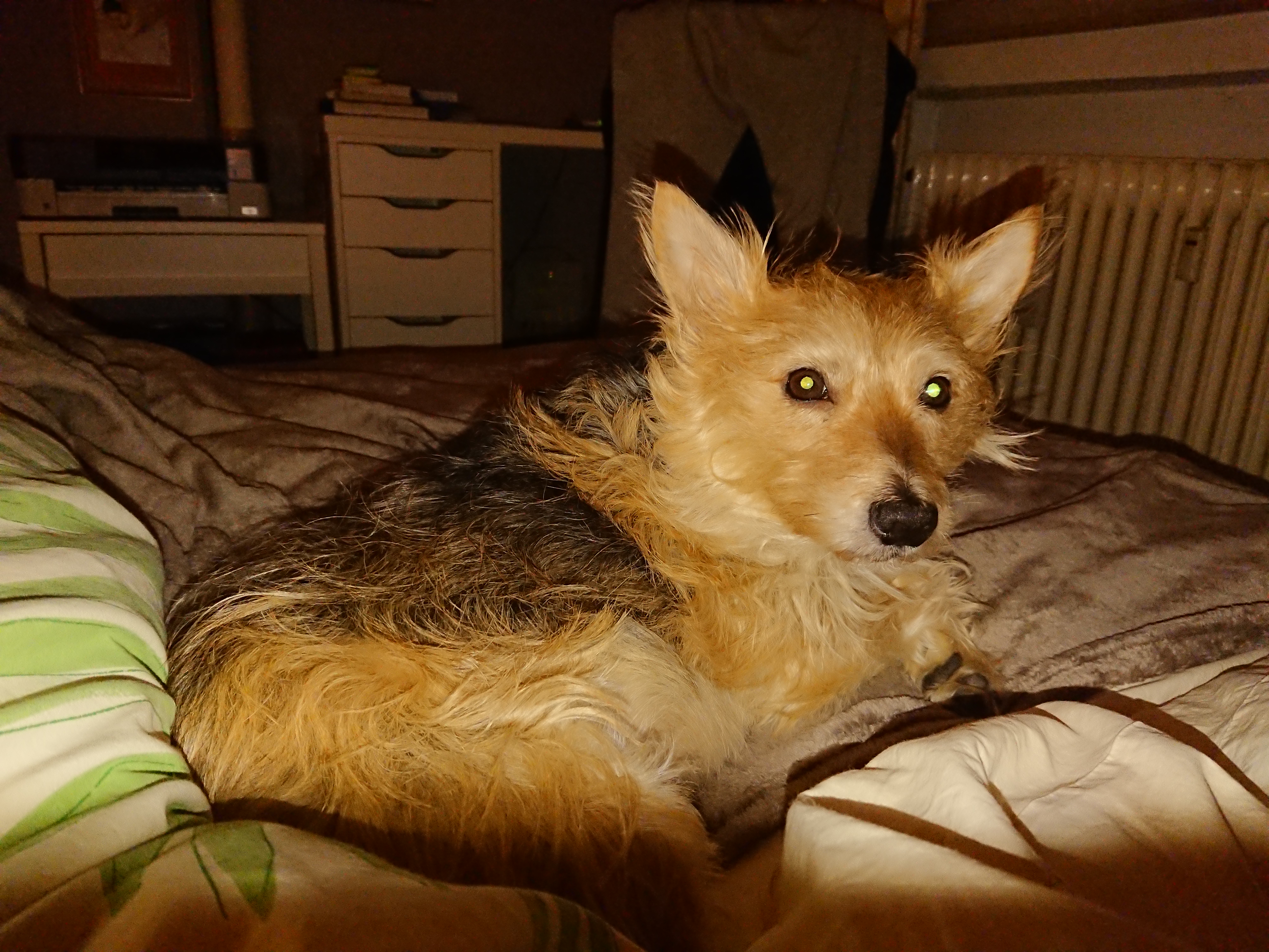 Photo n° 1 de l'avis de David.i fait le 24/01/2018 à 21:02