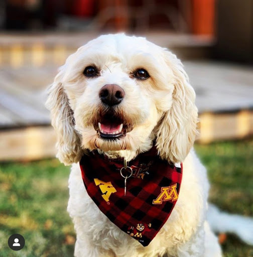 Gift Shop «Lotus Lake Gifts + Decor», reviews and photos, 412 W 78th St, Chanhassen, MN 55317, USA