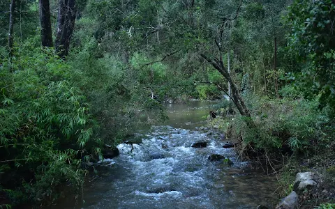 Nonguén National Park image