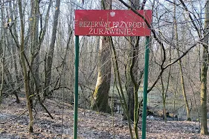 Rezerwat przyrody Żurawiniec image